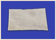 Fascia Lata