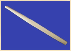 Fibula Section